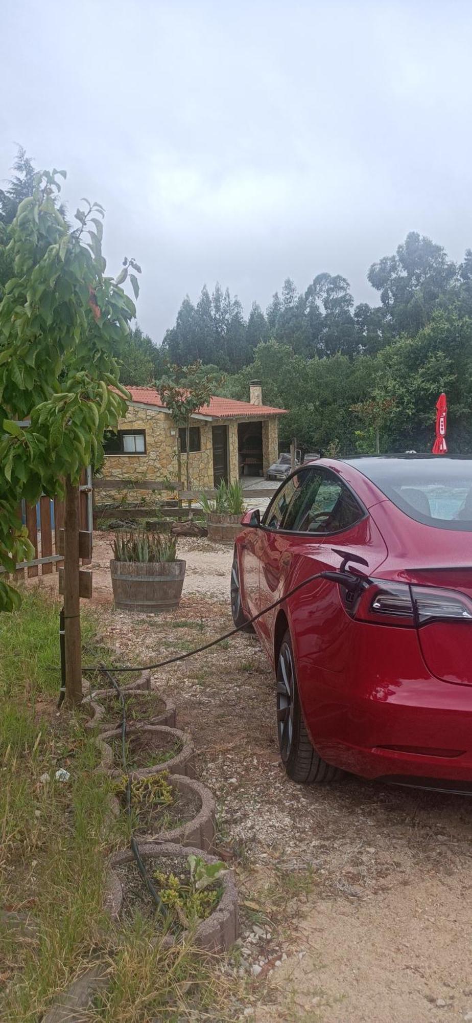 Quintinha Do Casal Ruivo Villa Figueiro Dos Vinhos Bagian luar foto